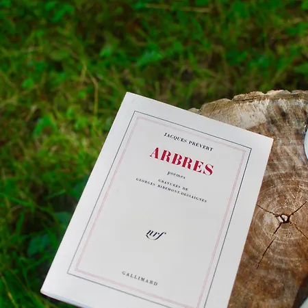 Le Petit Du Cotentin - Tiny House Cosy à 800 M De La * Flamanville